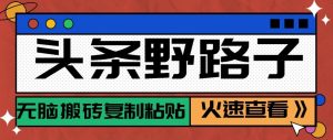 头条单账号日收益300+野路子玩法赛道，无脑搬砖复制粘贴，保姆级教程-沧海聊项目