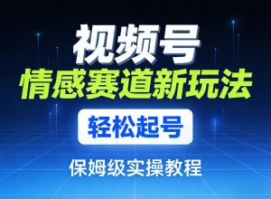 视频号情感赛道新玩法，轻松起号，保姆级实操教程-沧海聊项目