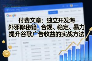 付费文章：独立开发海外邪修秘籍，合规、稳定、暴力提升谷歌广告收益的实战方法-沧海聊项目