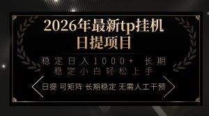 2026年最新tp挂机日提项目：稳定日入1000+小白轻松上手-沧海聊项目
