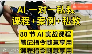 AI指令实战课，课程+案例，80节AI实战课程，笔记指令随意享用，课程指令随意享用(更新26年3月)-沧海聊项目