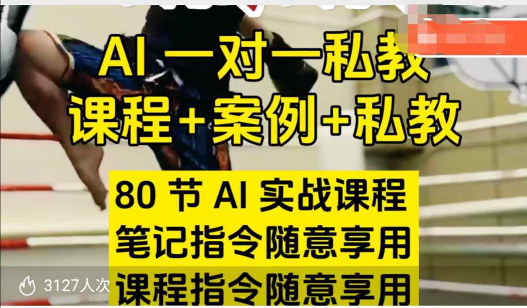 AI指令实战课，课程+案例，80节AI实战课程，笔记指令随意享用，课程指令随意享用(更新26年3月)-沧海聊项目