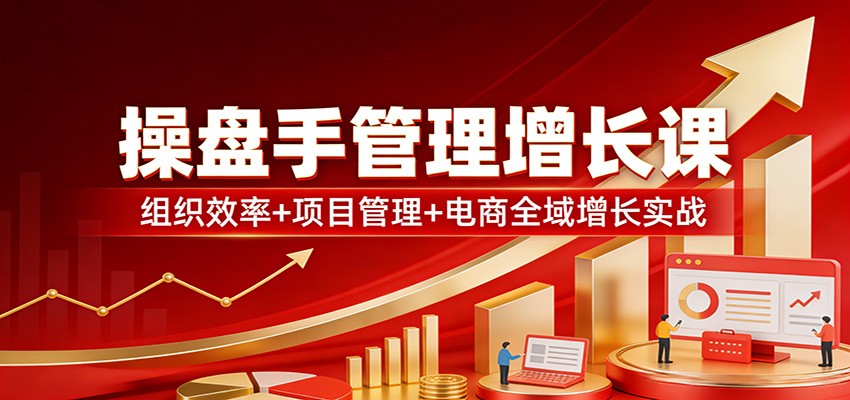 操盘手管理增长课：组织效率+项目管理+电商全域增长实战-沧海聊项目