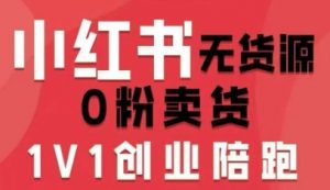 小红书无货源0粉电商课，开店准备、选品策略、笔记撰写、视频剪辑、数据分析、账号打造、资料文档(更新26年3月)-沧海聊项目