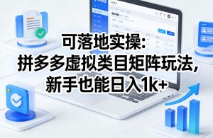 可落地实操：拼多多虚拟类目矩阵玩法，新手也能日入1k+【揭秘】-沧海聊项目