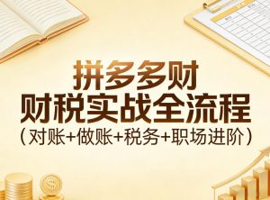 拼多多财税实战全流程(对账+做账+税务+职场进阶)-沧海聊项目