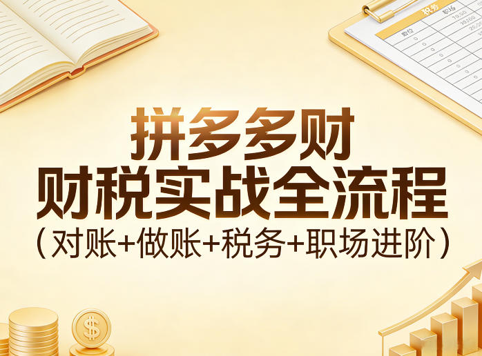 拼多多财税实战全流程(对账+做账+税务+职场进阶)-沧海聊项目