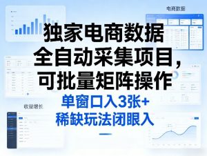 独家电商数据全自动采集项目，可批量矩阵操作，单窗口日入3张+，稀缺玩法闭眼入【揭秘】-沧海聊项目
