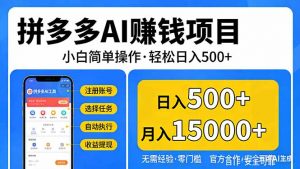 拼多多AI赚钱项目，小白简单操作，轻松日入500＋【独家视频教程】-沧海聊项目