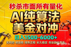 2026全网首发黑马项目，AI美金算法对冲，日入2000-6000+，稳定长效0风险，彻底告别996死工资-沧海聊项目