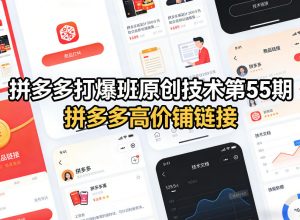 拼多多打爆班原创技术第55期，拼多多高价铺链接-沧海聊项目