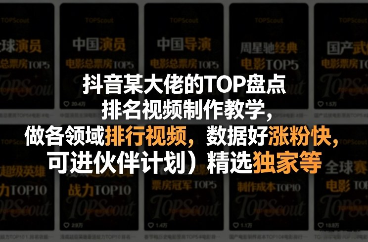 抖音某大佬的TOP盘点排名视频制作，做各领域排行视频，数据好涨粉快，可进伙伴计划＋精选独家等-沧海聊项目