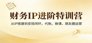 财务IP进阶特训营：从IP搭建到变现闭环，代账，做课，朋友圈运营-沧海聊项目