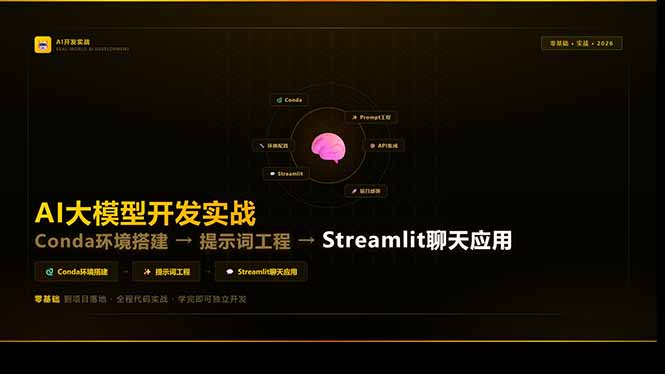 AI大模型开发实战：Conda环境搭建→提示词工程→Streamlit聊天应用，零基础到项目落地-沧海聊项目