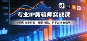 专业IP剪辑师实战课：IP切片挂车剪辑，爆款打造，多平台增收教学-沧海聊项目