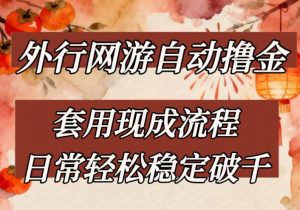 外行网游全自动撸金，套用现成流程，日常轻松稳定破千【揭秘】-沧海聊项目