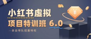 小红书虚拟项目特训课8.0，帮你从0到1打造稳定盈利的店铺，抓住流量红利(更新3月)-沧海聊项目