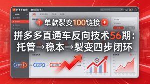拼多多直通车反向技术56期：托管→稳本→裂变四步闭环，单款裂变100链接抢占核心流量-沧海聊项目