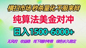 2026美金掘金新风口-纯算法对冲震撼上线！日入1500-6000+，长久合规稳健，轻松摆脱死工资-沧海聊项目