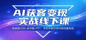 AI获客变现实战线下课：配套提示词+逐字稿+PPT，手把手教你用AI做流量变现-沧海聊项目