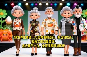 银发养生赛道，AI走秀圈粉百万，粉丝粘性高，轻松实现流量变现，适合新手小白，全套流程玩法解析-沧海聊项目