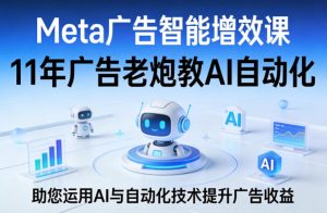 Meta广告智能增效课，11年广告老炮教AI自动化，助您运用AI与自动化技术提升广告收益-沧海聊项目