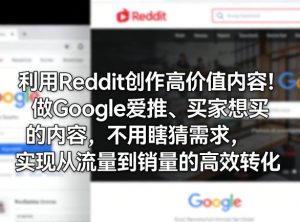 利用Reddit创作高价值内容！做Google爱推、买家想买的内容，不用瞎猜需求，实现从流量到销量的高效转化-沧海聊项目