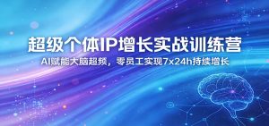 超级个体IP增长实战训练营：AI赋能大脑超频，零员工实现7x24h持续增长(更新)-沧海聊项目