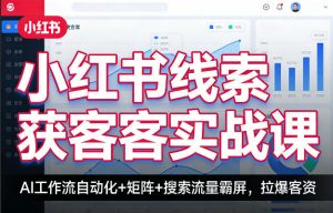 小红书线索获客实战课，AI工作流自动化+矩阵+搜索流量霸屏，拉爆客资-沧海聊项目