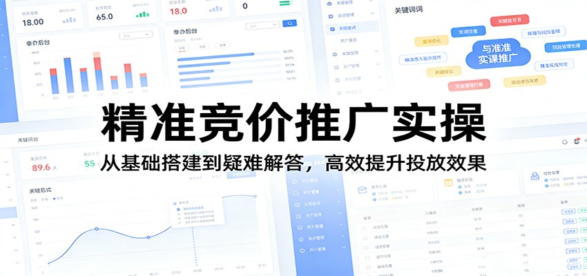 精准竞价推广实操：从基础搭建到疑难解答，高效提升投放效果-沧海聊项目