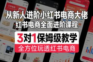从新人进阶小红书电商大佬，红书电商全面进阶课程，3对1保姆级教学，全方位玩透红书电商-沧海聊项目