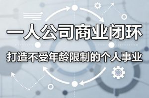 一人公司商业闭环，打造一份不受年龄限制的个人事业-沧海聊项目