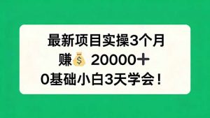 最新项目实操3个月，赚钱20000+，0基础小白3天学会！-沧海聊项目