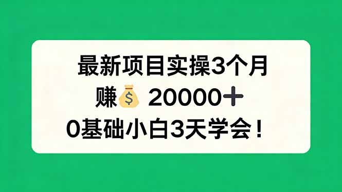 最新项目实操3个月，赚钱20000+，0基础小白3天学会！-沧海聊项目