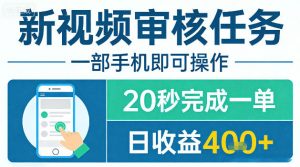 新视频审核任务，一部手机即可操作，20秒完成一单，日收益4张+【揭秘】-沧海聊项目