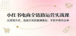 小红书电商全链路运营实战课：从变现方式、选品引流到直播售后，手把手教你出单-沧海聊项目