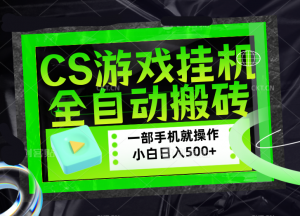 CSGO游戏挂机捡漏搬砖，超稳定的项目，带领1000+小白实现日入500+，数据可视频验证-沧海聊项目