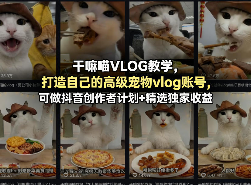 干嘛喵VLOG教学，打造自己的高级宠物vlog账号，可做抖音创作者计划+精选独家收益-沧海聊项目