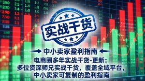 电商圈多年实战干货-更新4月：多位资深师兄实战干货，覆盖全域平台，中小卖家可复制的盈利指南-沧海聊项目