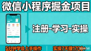 微信小程序掘金项目，项目很简单，5分钟就能学会上手操作，实操7天賺了1700+【揭秘】-沧海聊项目