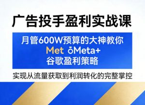 广告投手盈利实战课，月管600W预算的大神教你Meta+谷歌盈利策略，实现从流量获取到利润转化的完整掌控-沧海聊项目
