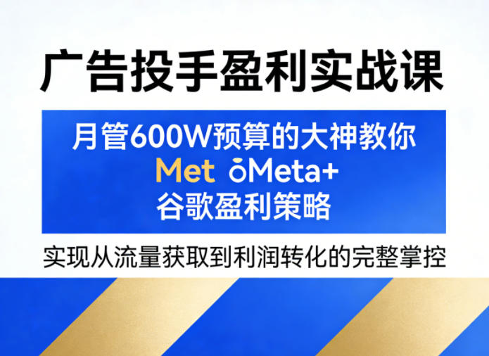 广告投手盈利实战课，月管600W预算的大神教你Meta+谷歌盈利策略，实现从流量获取到利润转化的完整掌控-沧海聊项目