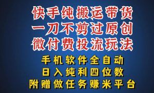 最新黑科技快手搬运带货方法，手机就能操作，轻松带你日入四位数【揭秘】-沧海聊项目
