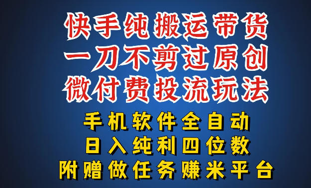 最新黑科技快手搬运带货方法，手机就能操作，轻松带你日入四位数【揭秘】-沧海聊项目
