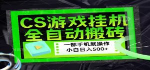 CSGO游戏挂机捡漏搬砖，超稳定的项目，带领1000+小白实现日入500+-沧海聊项目