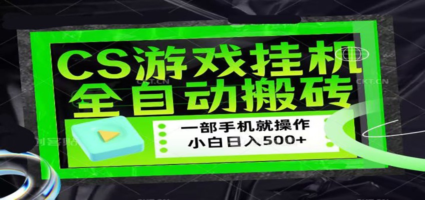 CSGO游戏挂机捡漏搬砖，超稳定的项目，带领1000+小白实现日入500+-沧海聊项目