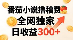 番茄撸稿费，稳定日收益300+，全网独家，副业必看，小白易上手，超级简单【揭秘】-沧海聊项目