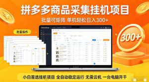 拼多多商品信息全自动采集项目，批量可矩阵，单机轻松日入300+，无需云机一台电脑开干【揭秘】-沧海聊项目