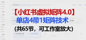 小红书虚拟矩阵4.0技术：单店4带1矩阵(共65节，可工作室放大)-沧海聊项目