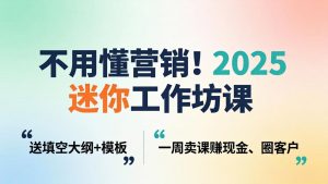 不用懂营销！2025 迷你工作坊课：送填空大纲 + 模板，一周卖课赚现金、圈客户-沧海聊项目